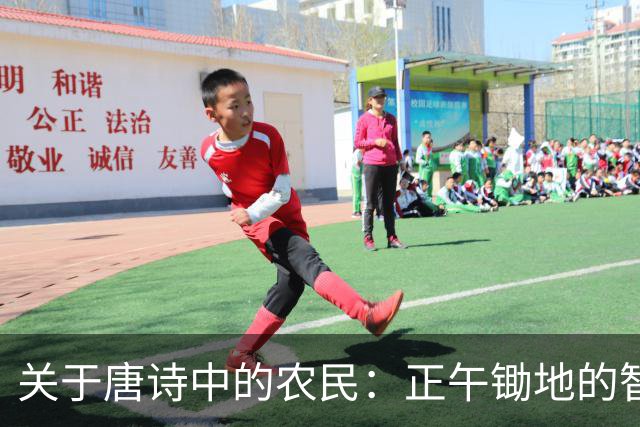 关于唐诗中的农民：正午锄地的智慧与现实